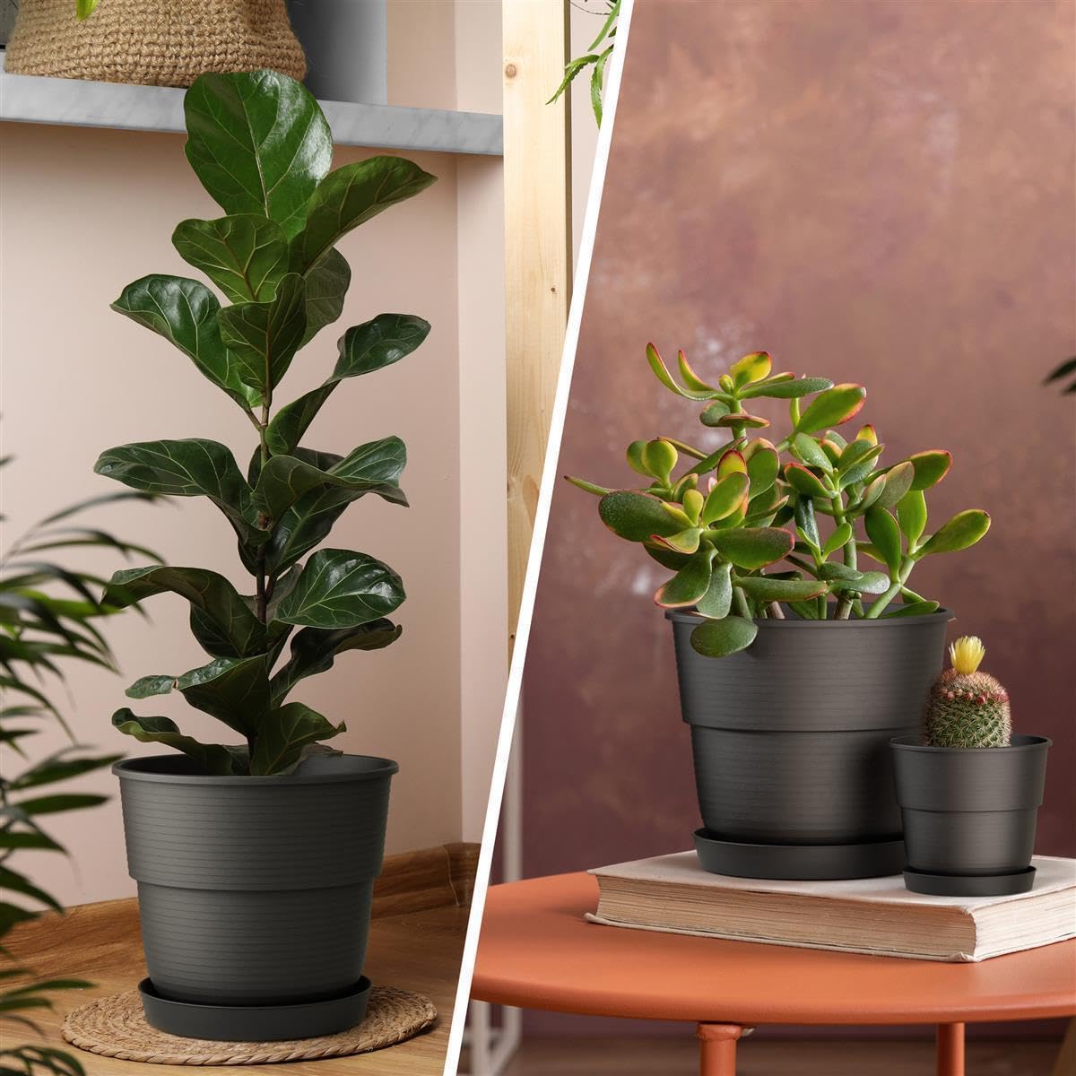 Plastard Blumentopf 10er Set Ø26 cm mit Untersetzer Anthrazit Pflanzkübel | Witterungs- UV & frostbeständig, inkl. 21 cm Untersetzer, ideal für Garten, Balkon & Innenbereiche, Deko Pflanztopf 9 Liter