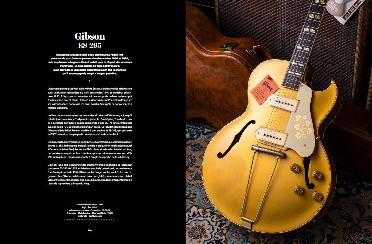 Guitares d'exception: 100 modèles mythiques et leur histoire