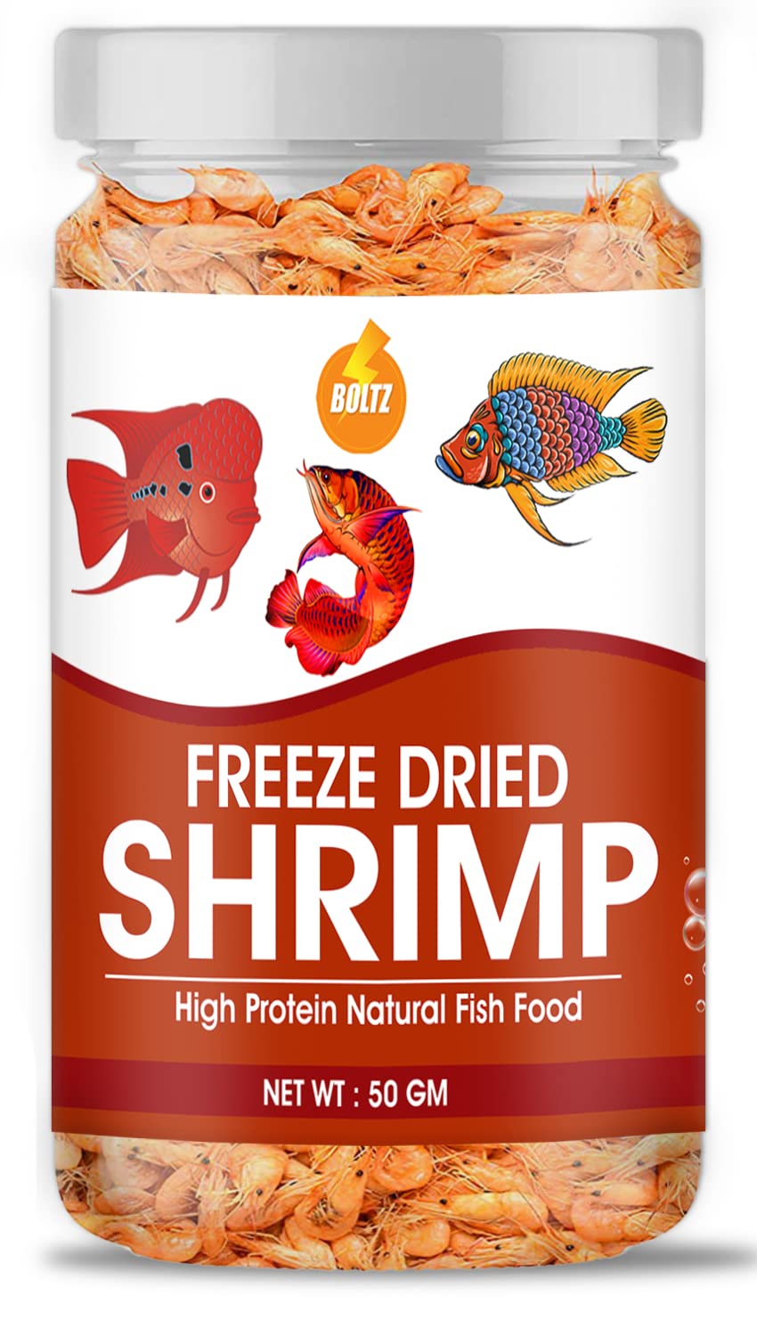Boltz Freeze Dried Shrimp Treats 50gm Fish Food for Arowana, Cichlid