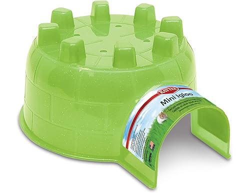 Top 10 Best Rat Hideouts and Houses [2024 Verified and Reviewed]