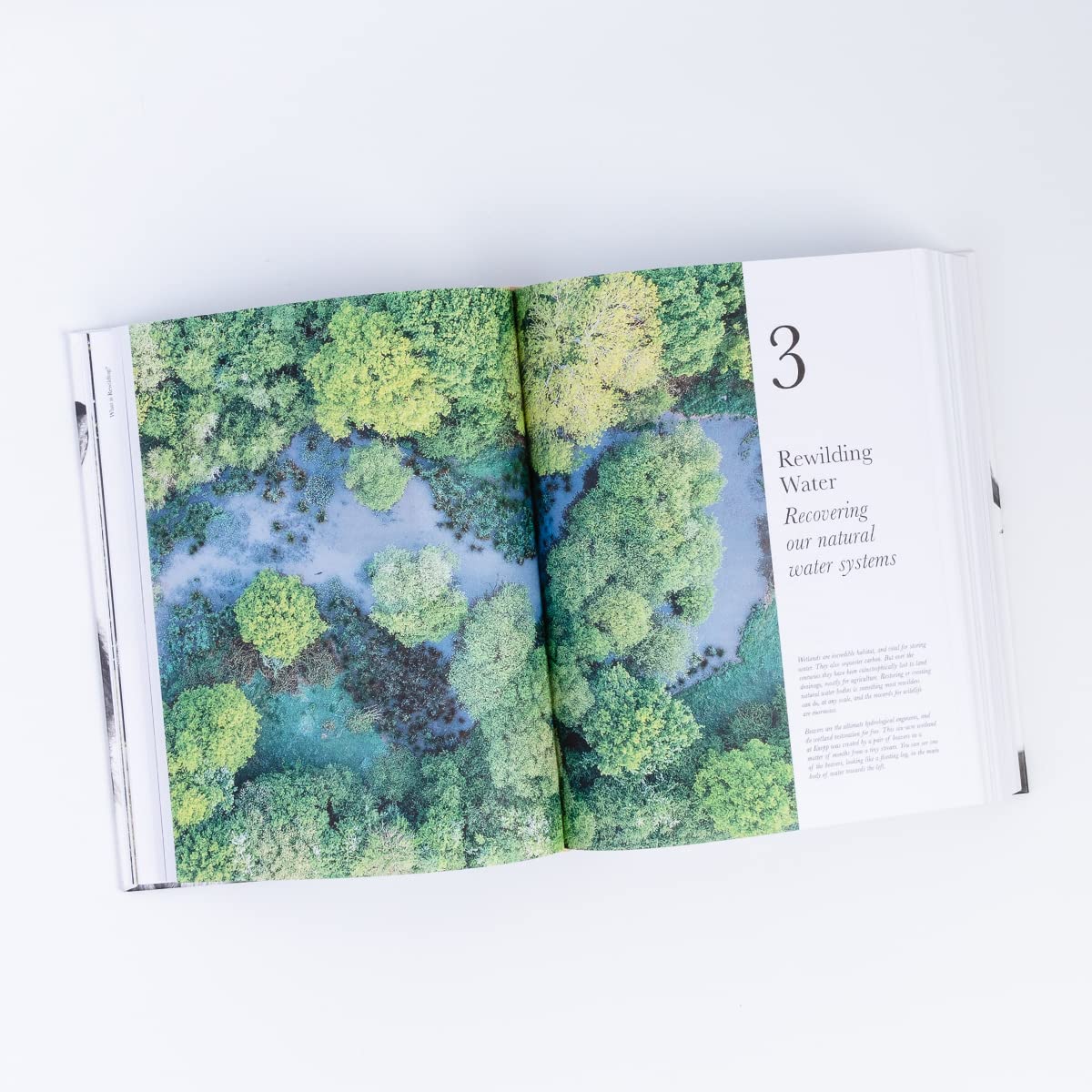 The Book of Wilding: A Practical Guide to Rewilding, Big and Small - Image 6