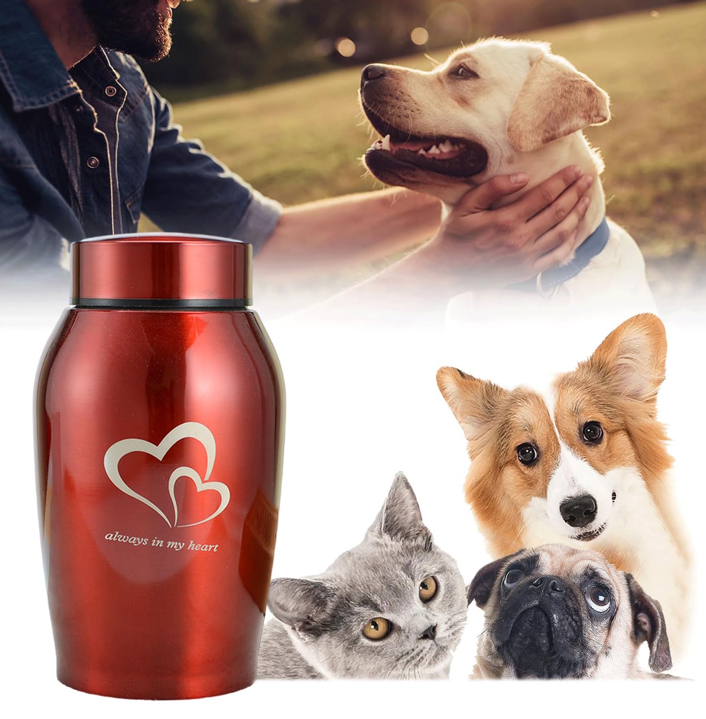 Urna Per Animali Domestici In Acciaio Inossidabile Nero - Per Ceneri Di Cani E Gatti, Tappo A Vite - Foto 6