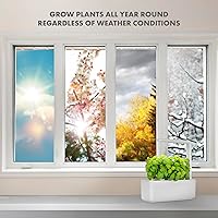 Vista 5 de Click & Grow Smart Garden 3 - Kit de jardinería para interiores (incluye cápsulas de albahaca)