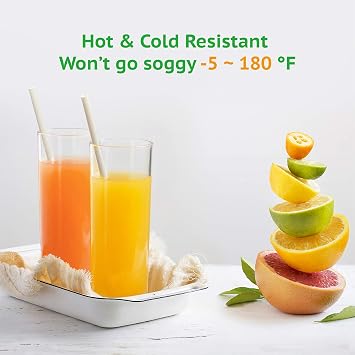 Biodegradable Straws Natural Plant 200 PCS | Compostable Straws Disposable