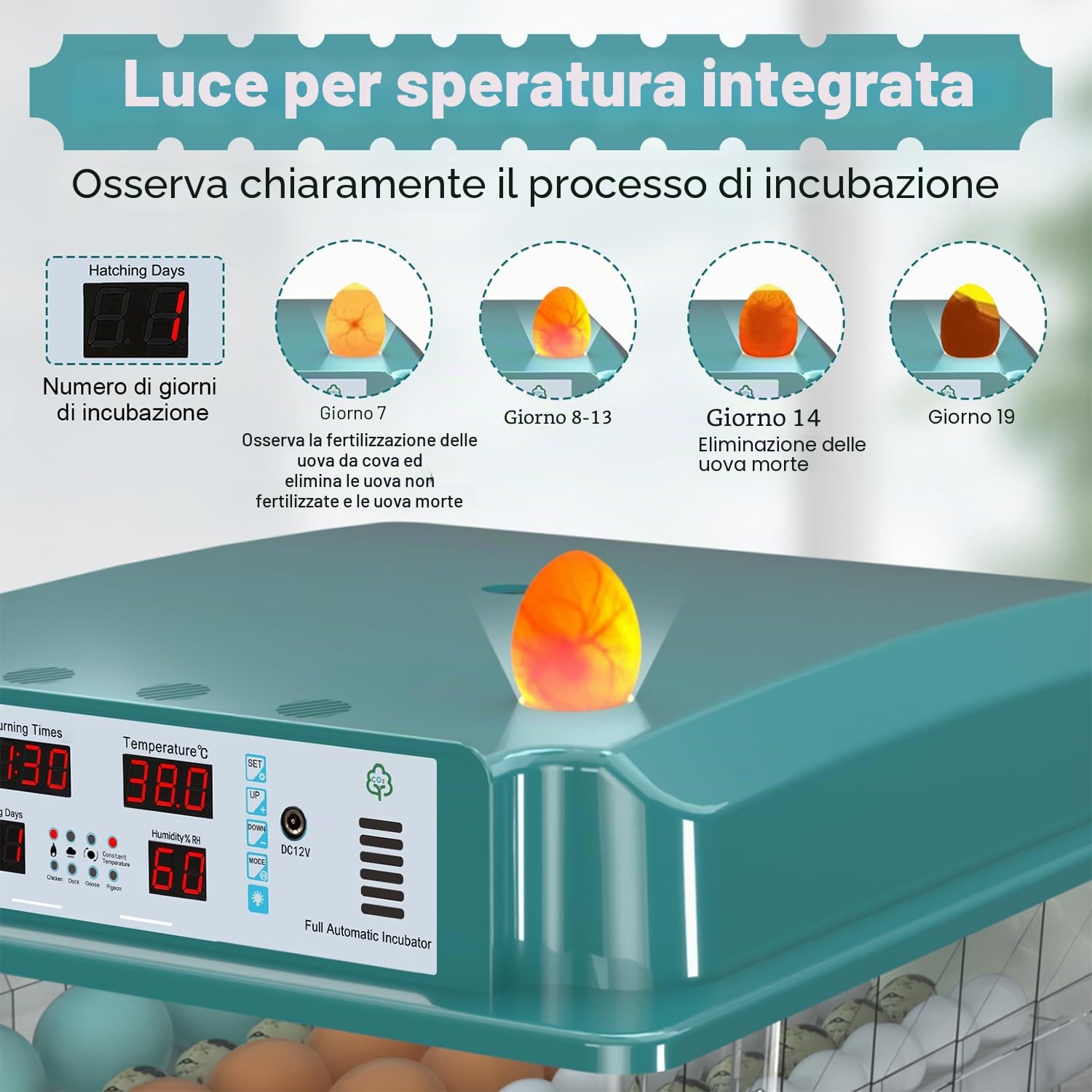 Incubatrice per Uova 120 Pezzi, Incubatrice per Uova Automatica con 4 Modalità di Incubazione, Riempimento Automatico dell'Acqua, Display Temperatura e Umidità, Incubatrice per Uova di Gallina