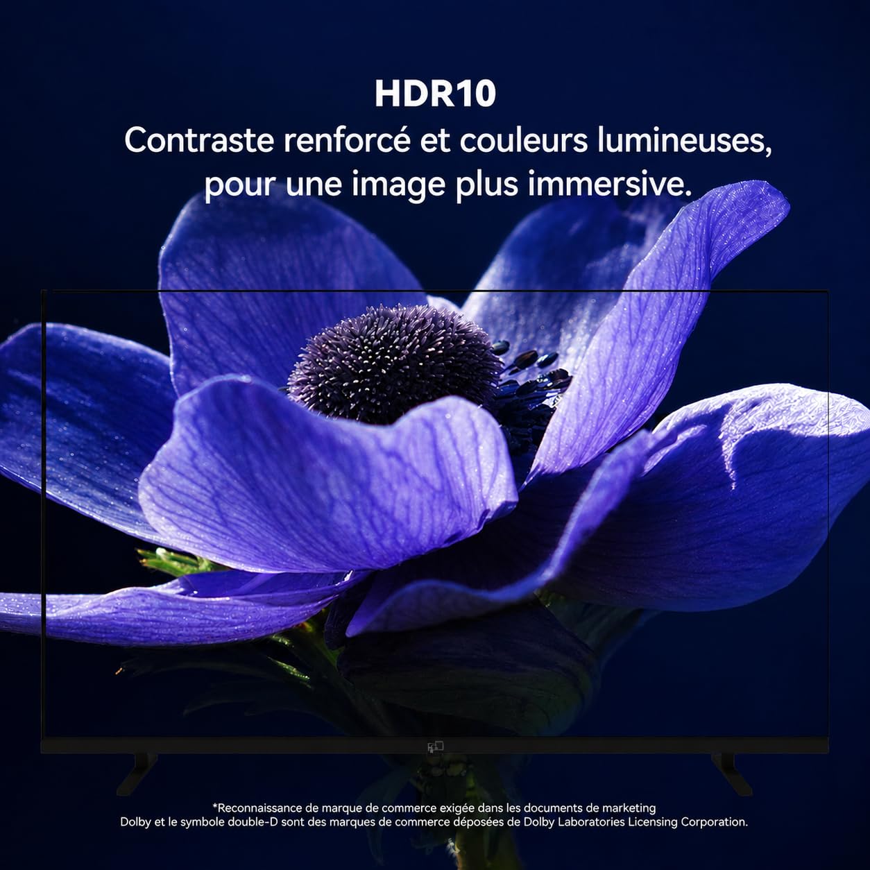 FPD 40 Pouces (102 cm) Full HD Smart Google TV wtih Google Cast, HDR 10, Dolby Audio, Vocie Remote, HDMI, Flat Screen Televison (CG40-P1)