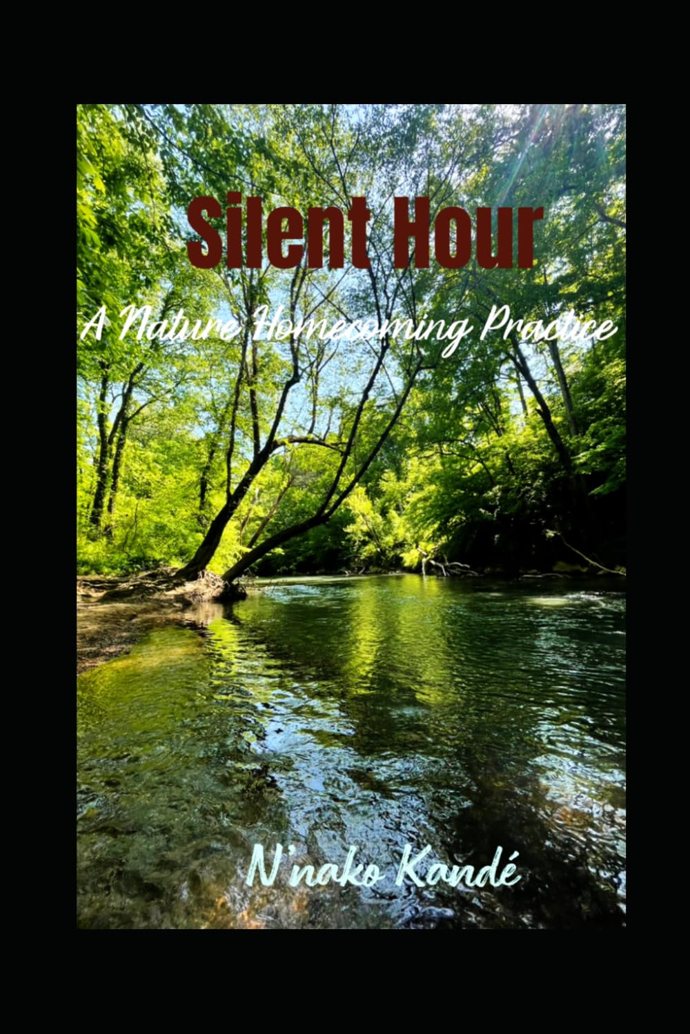 SILENT HOUR: A Nature Homecoming Practice (The Art of Rooting)      Paperback – March 7, 2026