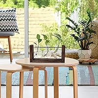 Vista 4 de Terrario para plantas con soporte de madera, jarrón de propagación de mesa, macetas hidropónicas de vidrio, maceta de aire, florero de vidrio