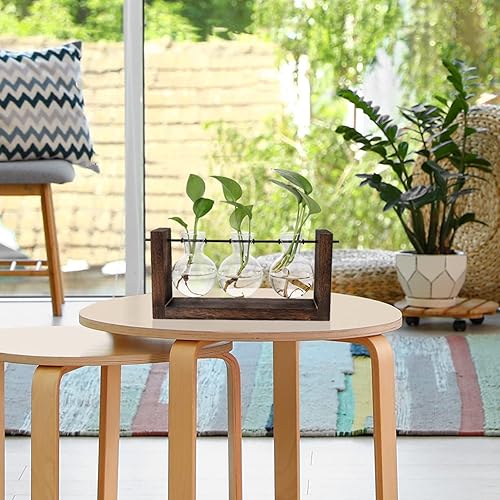 Miniatura 4 de Terrario para plantas con soporte de madera, jarrón de propagación de mesa, macetas hidropónicas de vidrio, maceta de aire, florero de vidrio con