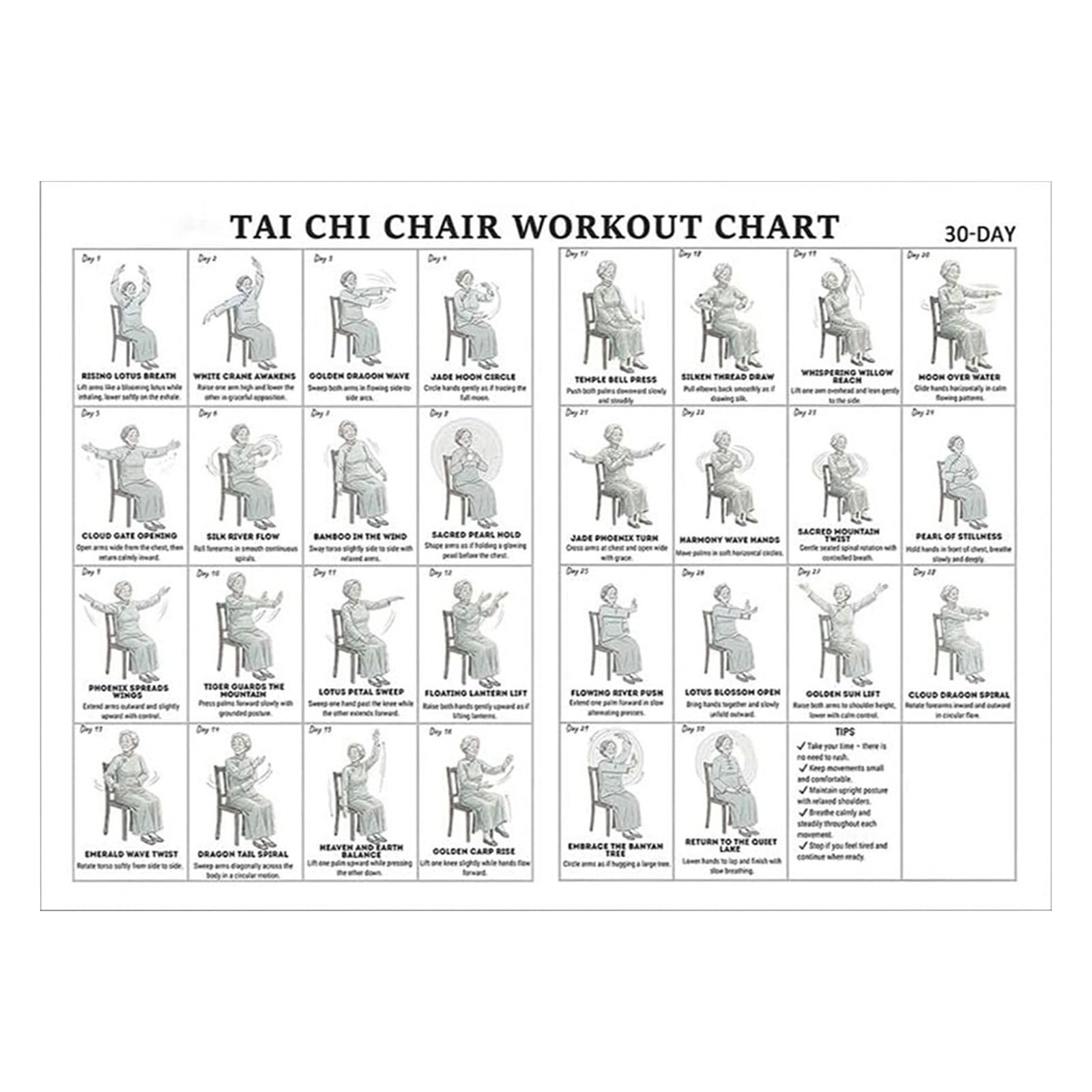 Chair Tai Chi Posters, 11.81 X 17.72 Inch Tai Chi Chair Workout Chart Poster Easy Display Workout Exercise Chart Posters Foldable Gym Wall Art Print Decor for Beginners and Seniors