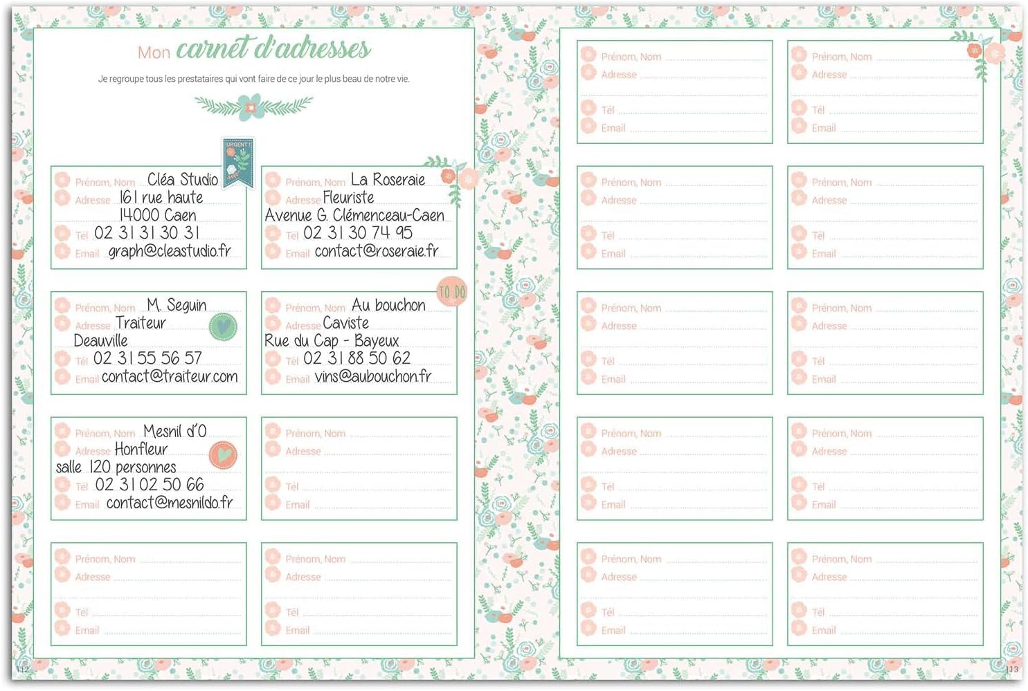 Toga Stationery Kit-My Wedding Organiser, Paper, Green/Salmon, Non Applicable