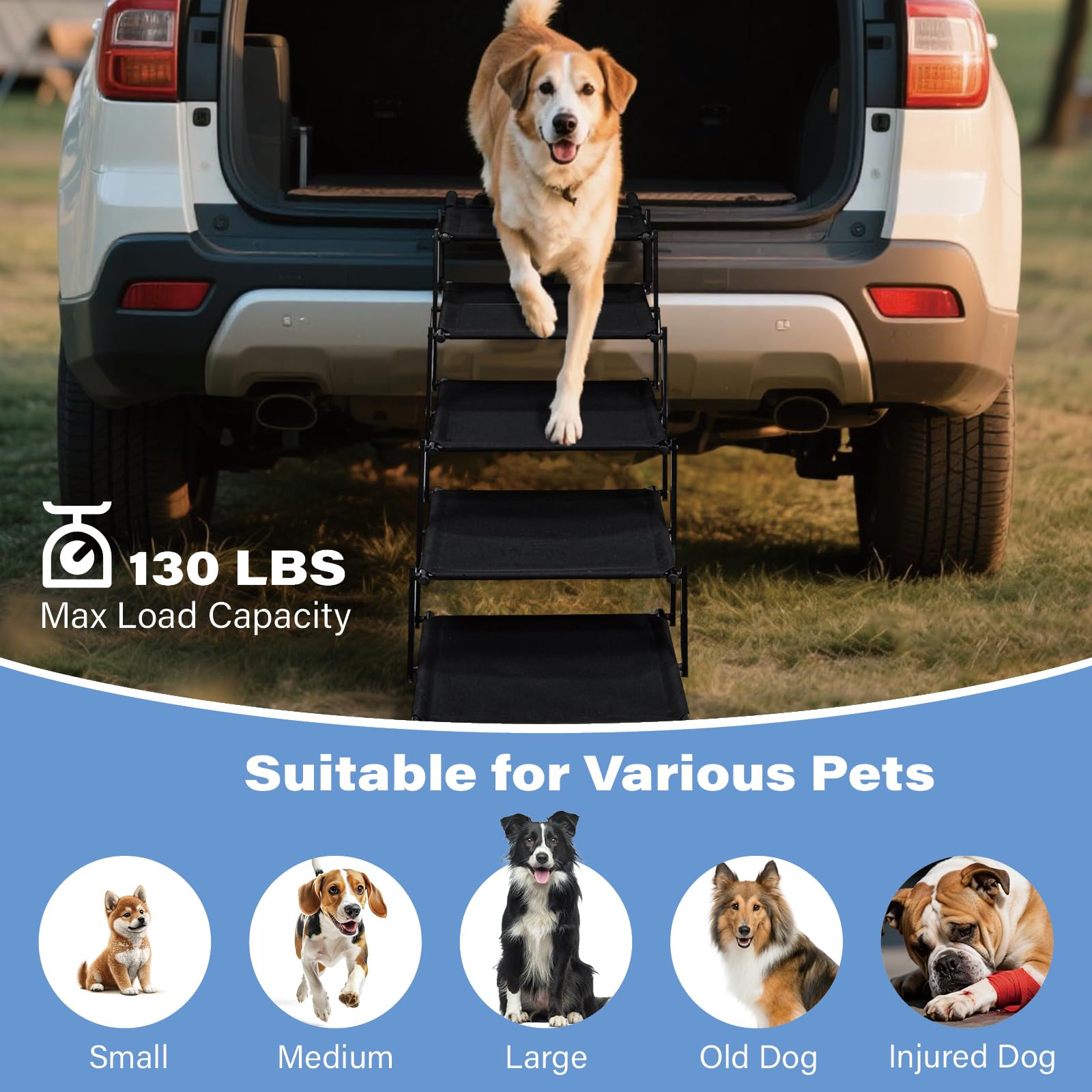 Scaletta pieghevole per cani e animali domestici, portatile, per cani grandi, vecchi e feriti, rampa per auto, SUV