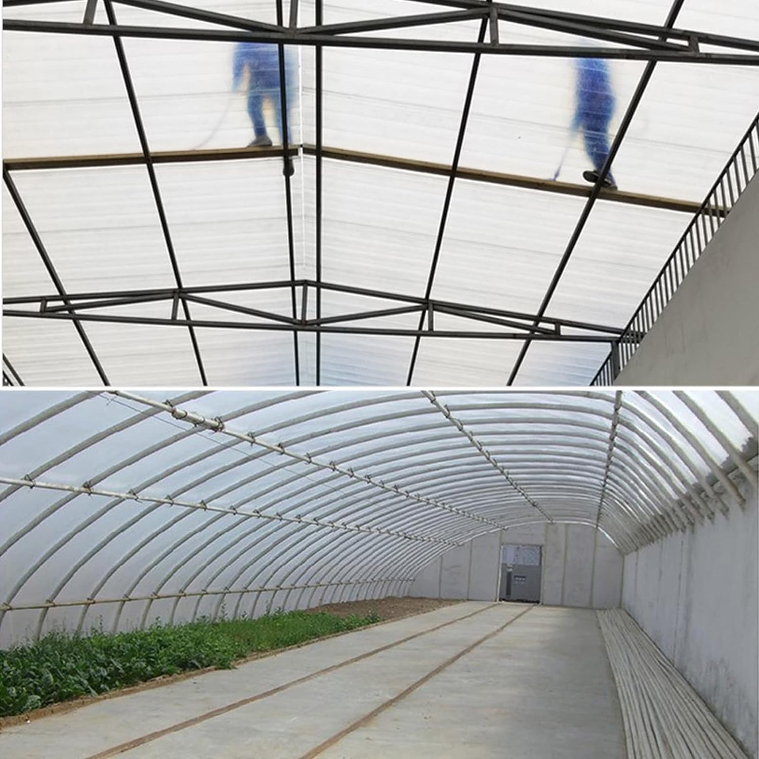 Polycarbonat-Dachfolie,0.8mm Transparente Regenfeste Gewächshausfolie,Baldachin Schuppenabdeckung Verkleidung Frühbeet-Ersatzplatten,Für Gartenbau Landwirtschaft (150x600cm)