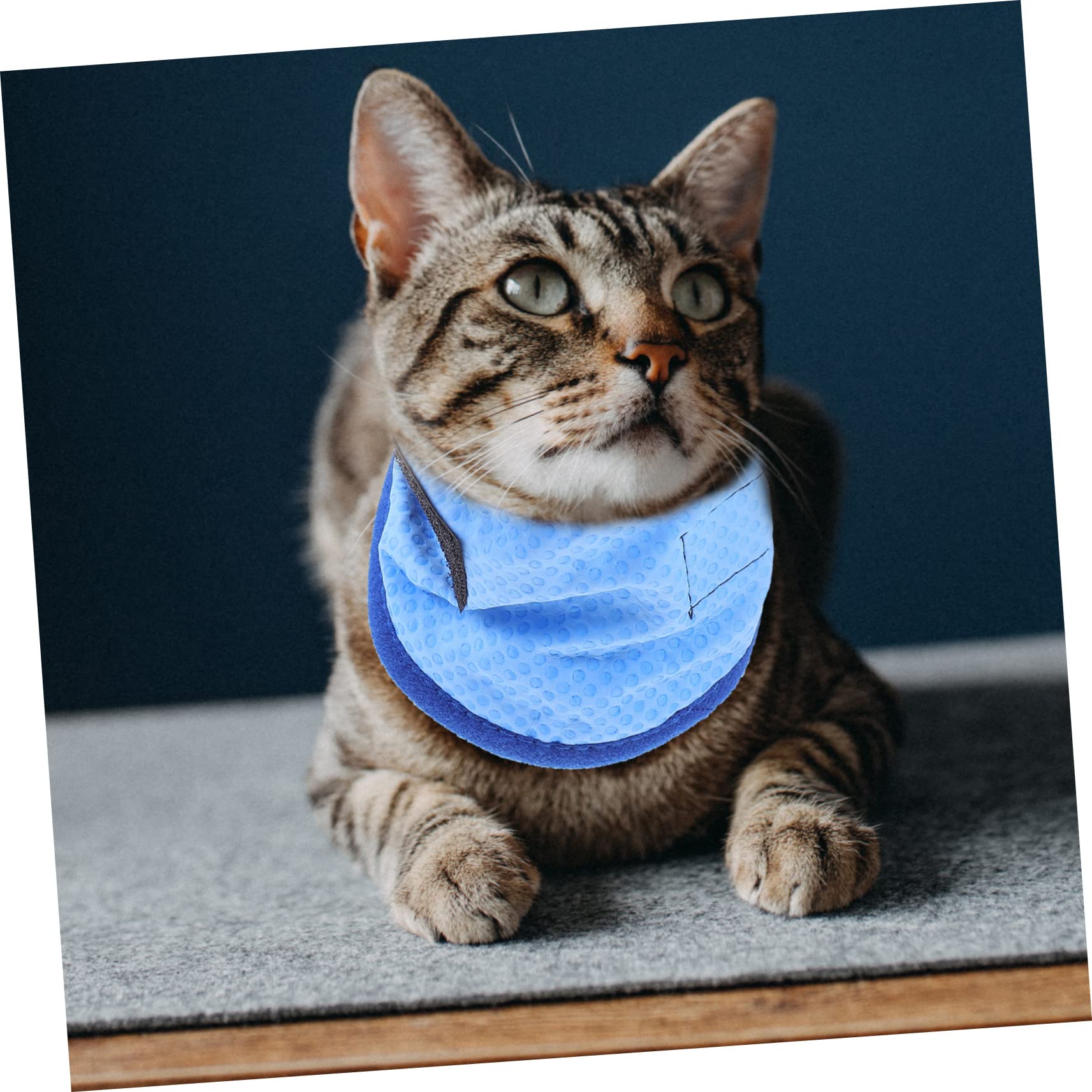 BESPORTBLE 5stücke Kühlendes Hundehalsband Für Sommer Atmungsaktive Und Leichte Bandana Für Haustiere Für Heiße Tage Mit Kühlendem Effekt Pet Cooling Scarf Für Hunde Und Katzen