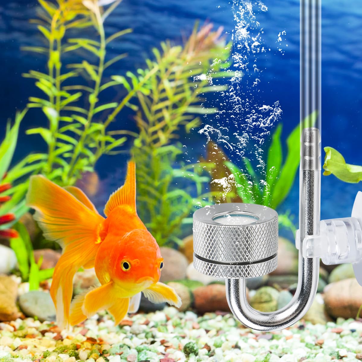 Diffuseur de CO2 pour aquarium, vaporisateur pour aquarium, diffuseur d'oxygène et de dioxyde de carbone avec ventouses et U-Pipe, diffuseur d'oxygène pour aquarium, diffuseur de CO2 pour aquarium