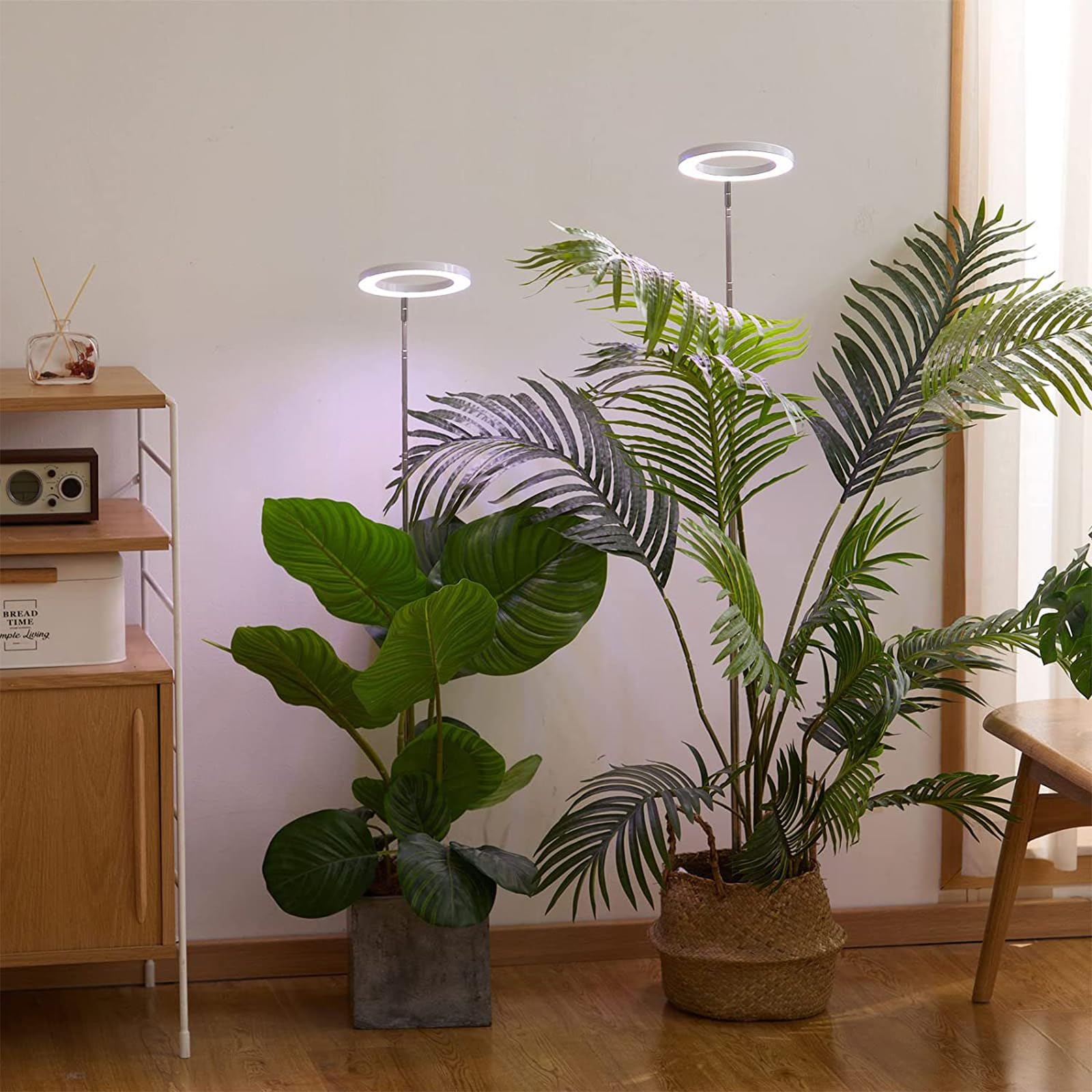 Ailgely Pflanzenlampe LED, Pflanzenwachstumslicht Stehlampe Vollspektrum  Pflanzenlicht fr Zimmerpflanzen Sonnenlicht mit Zeitschaltuhr 3/9/12  Stunden fr Groe Kleine Pflanzen, 10 Helligkeit: Amazon.de: Garten