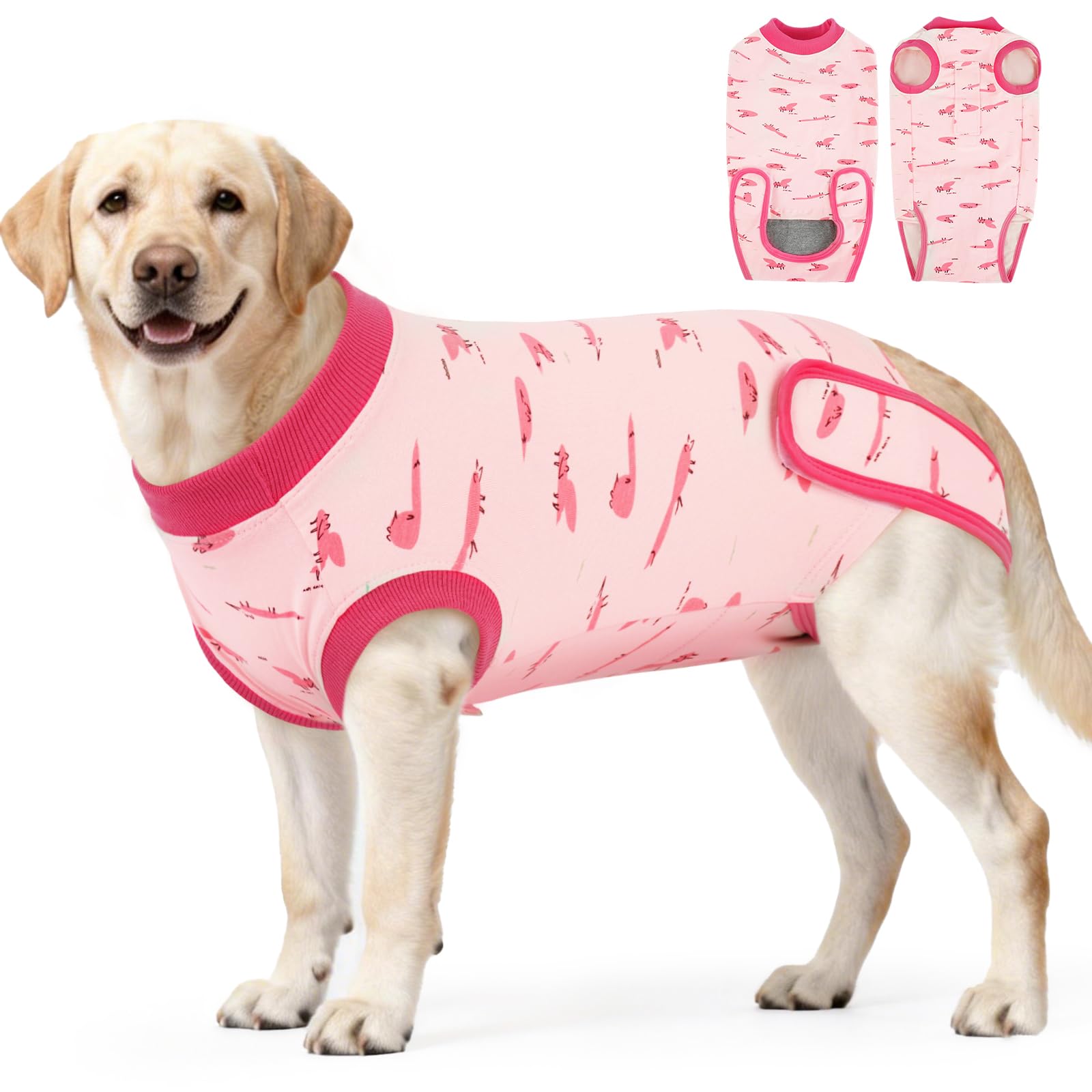 IDOMIK Dog Recovery Suit for Neuter Spay,Anti-Licking Dog Surgical Bodysuit — image 1