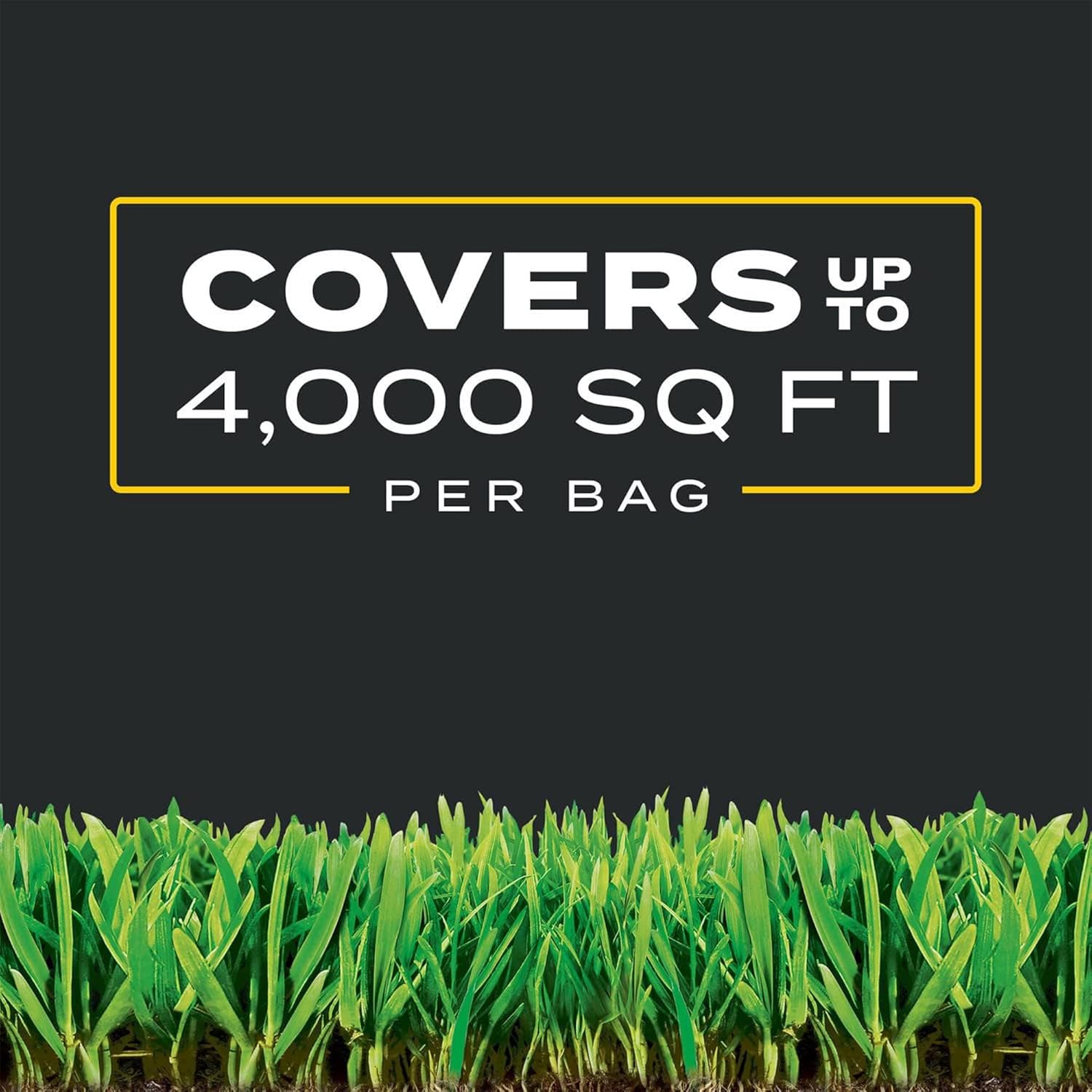 Scotts Turf Builder Triple Action1 - Weed Control, Lawn Weed Killer, Crabgrass Preventer, and Grass Fertilizer for Lawns, Covers 4,000 sq. ft., 11.31 lb.