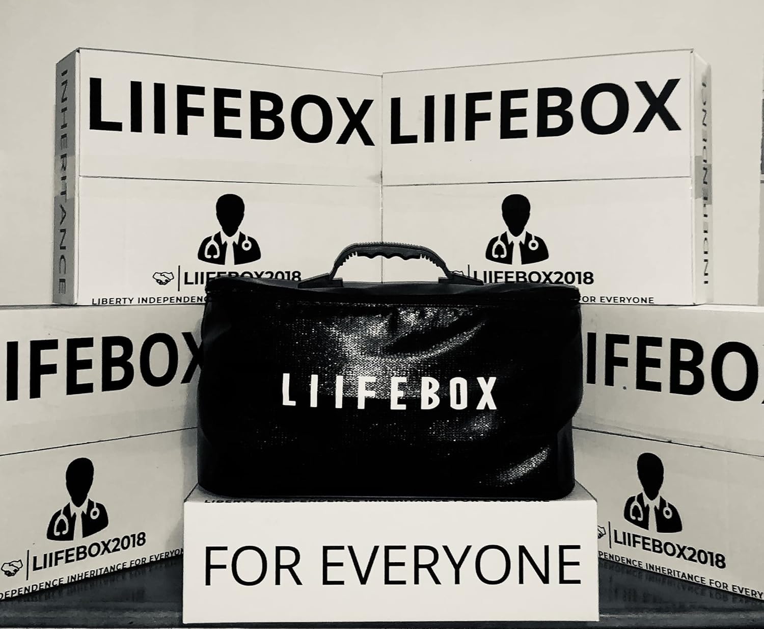 The Liifebox Document Bag with Lock Zipper (Black), Fireproof and Multiple Layer Water-Resistant Design, File Storage Organizer Safe with Handle, Portable for Travel, Home, Office