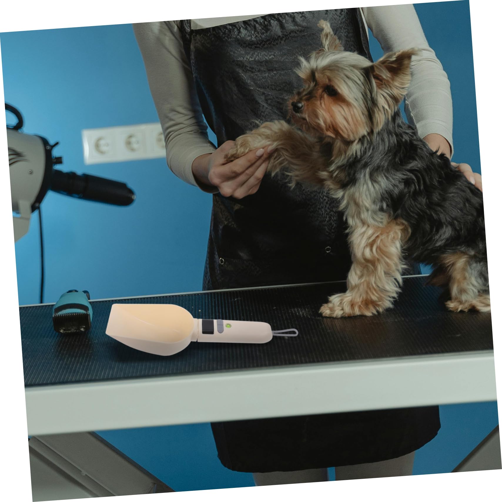 COLLBATH Báscula Digital Para Cocina Medidora Electrónica Para Alimentos Pesaje De Comida Para Gatos Báscula Electrónica De Cocina Con Cuchara Para Preparar Repostería y Alimentar Mascotas