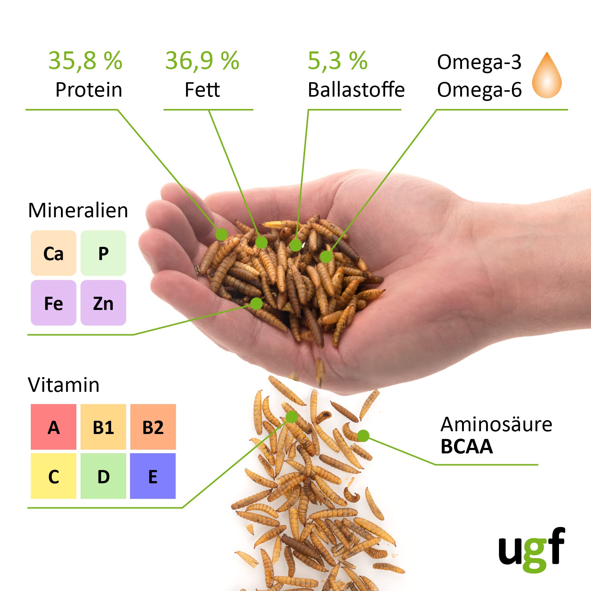 UGF - Hermetia Meglio dei vermi secchi della farina (1 kg) - 85 volte più calcio rispetto ai vermi vivi - bocconcini BSFL per uccelli selvatici, tartarughe, ratti, ricci - larve di soldati essiccati