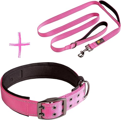 Juego de correa y collar de doble asa rosa para perros XL