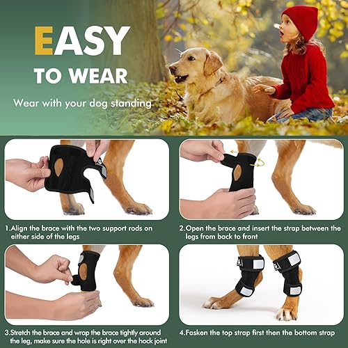 Miniatura 6 de 1 par de tobilleras cortas para pierna trasera de perro para desgarro ACL y CCL, soportes de pierna de perro para pierna trasera con inserciones de