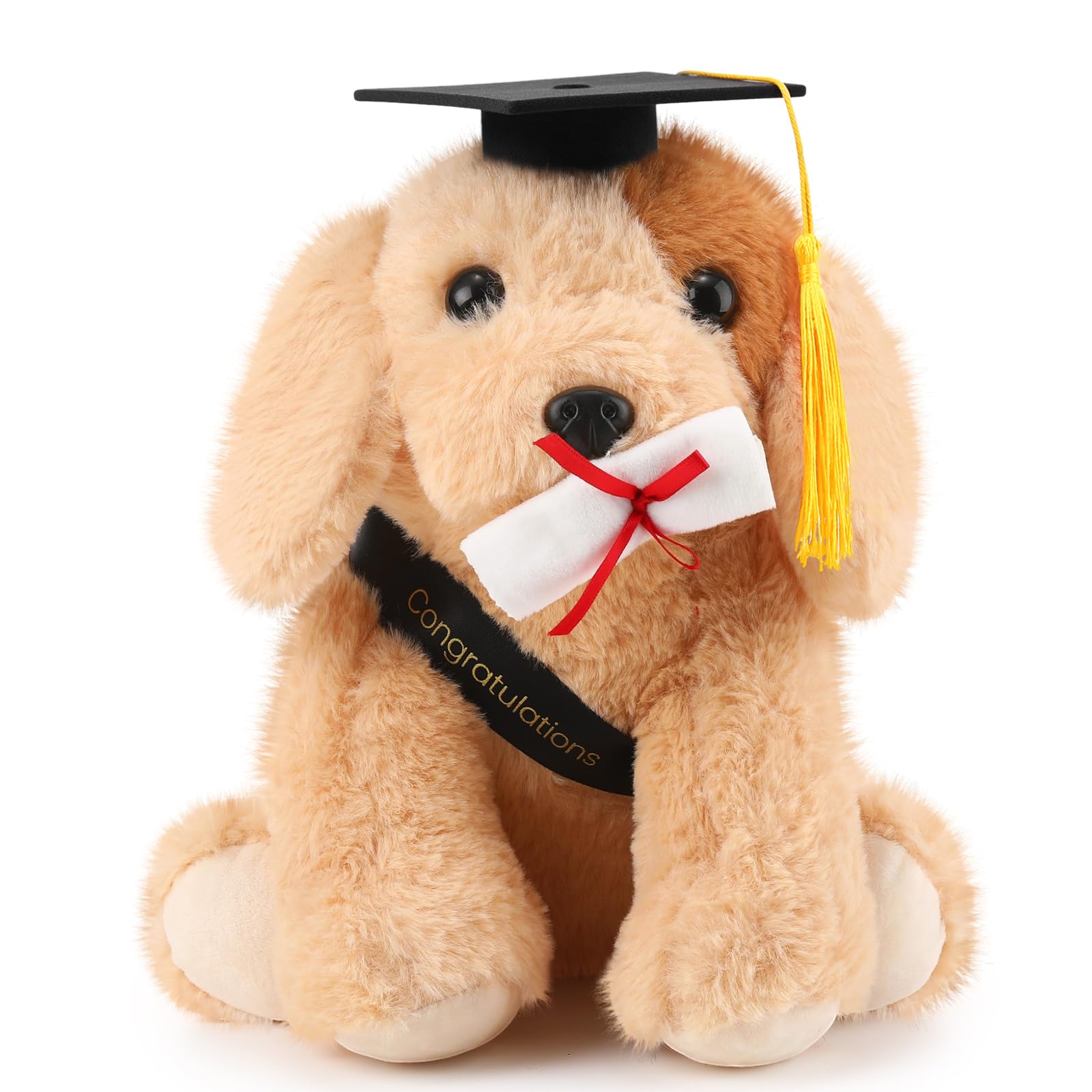 Amazon.com: Chalyna 10 Inch 2026 Graduation Gift Dog Stuffed