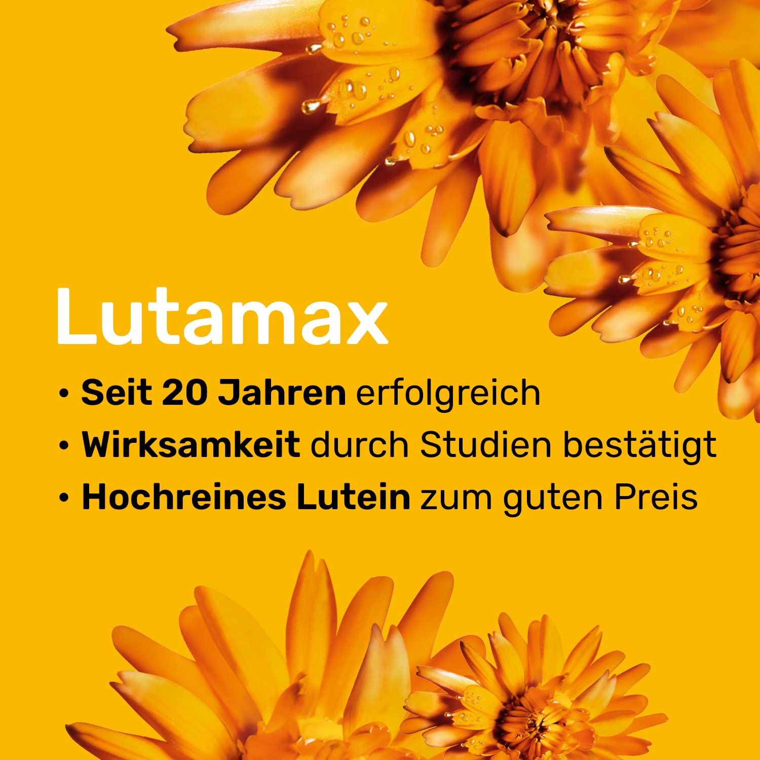 Lutamax 20 mg – 90 Kapseln | Lutein & Zeaxanthin | Augenvitamine zur Unterstützung der Sehkraft bei altersbedingten Augenproblemen | 3-Monats-Pack