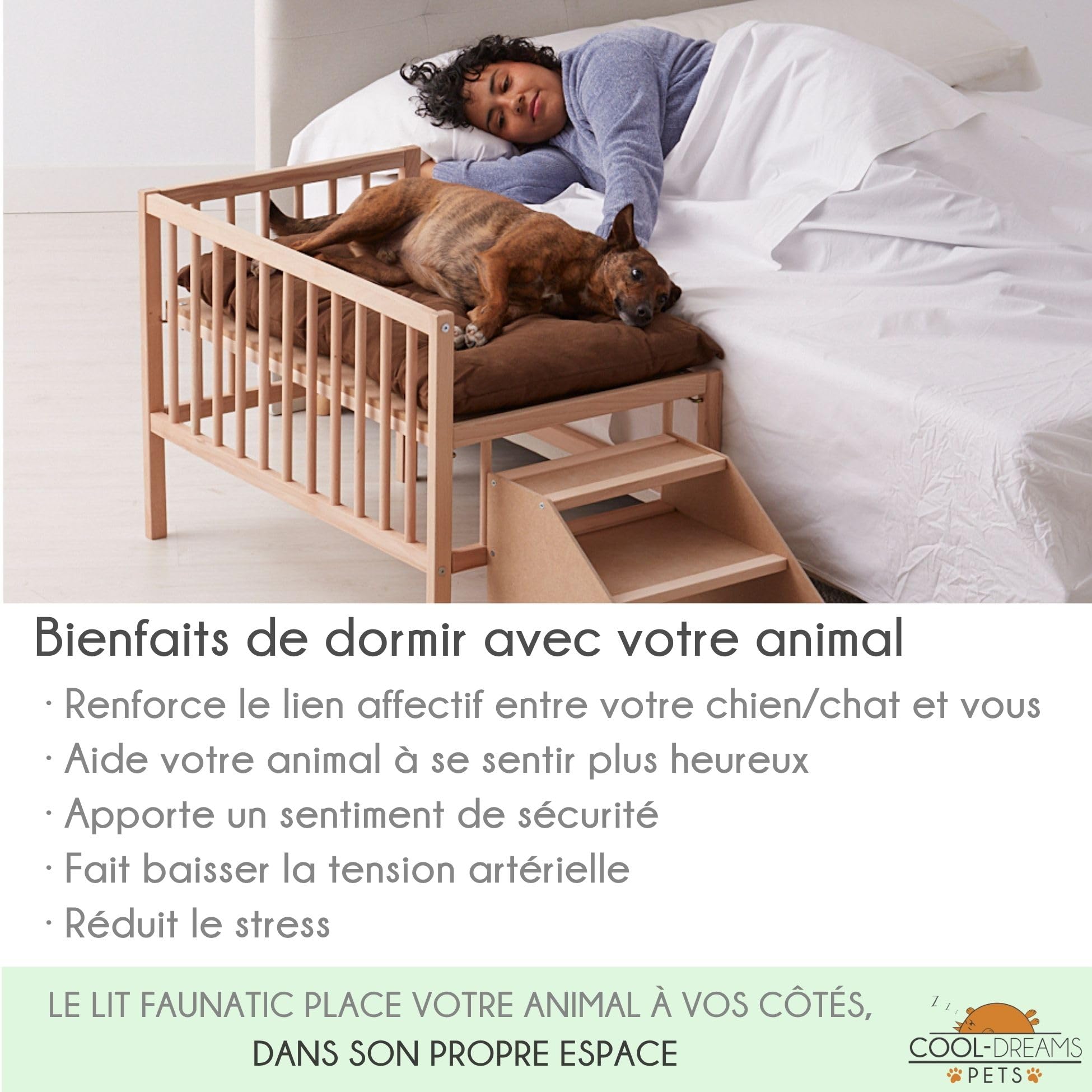 Lit surélevé en Bois pour Animaux de Compagnie avec Matelas Dormeur pour Animaux de Compagnie (2 hauteurs) pour Toutes Les Tailles - Faunatic CoolDreams