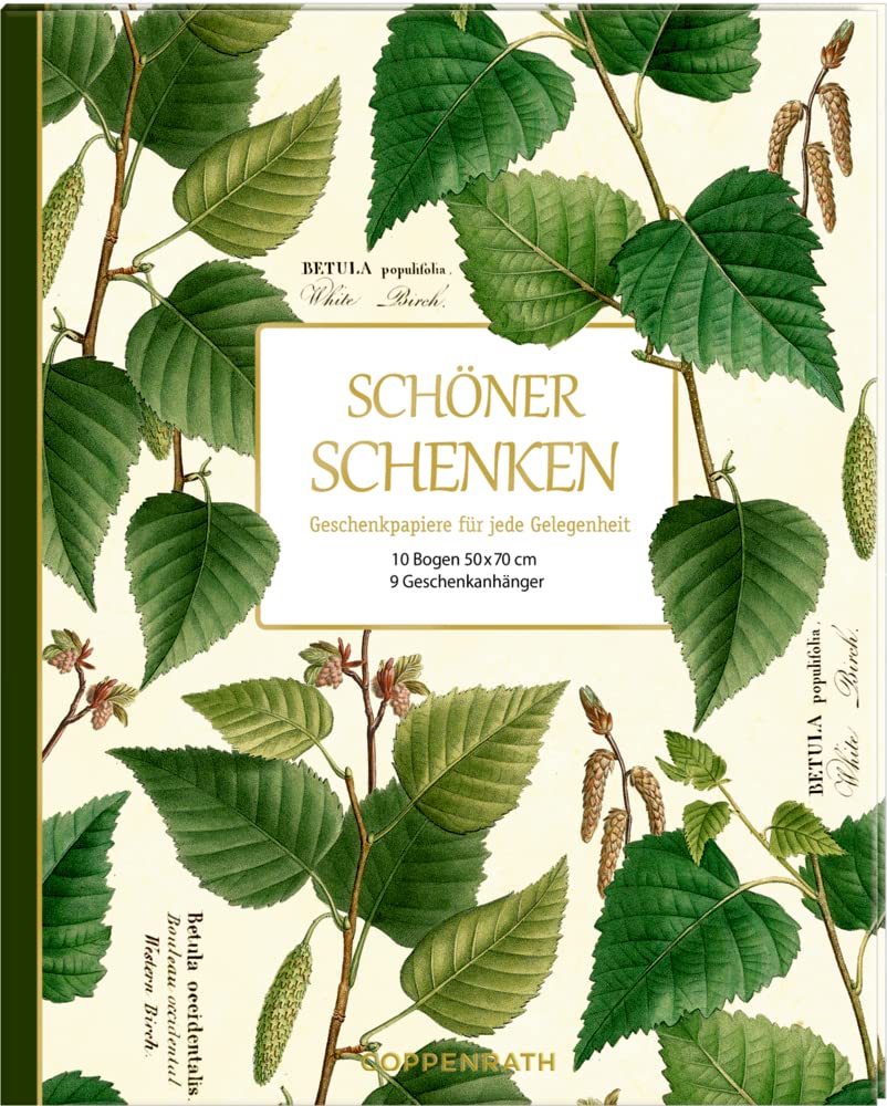 Geschenkpapier-Buch - Schöner schenken (Sammlung Augustina): Geschenkpapiere für jede Gelegenheit