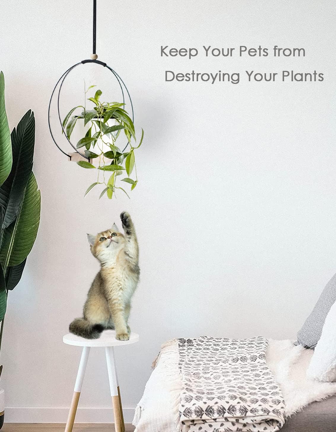 Plant Hanger with Wood Base - Boho Macrame Hanging Plant Holder for Indoor Plants Hanging Planter for Wall /Window/Room Decor Black (Pot & Plant Not Included) Black 1 PACK