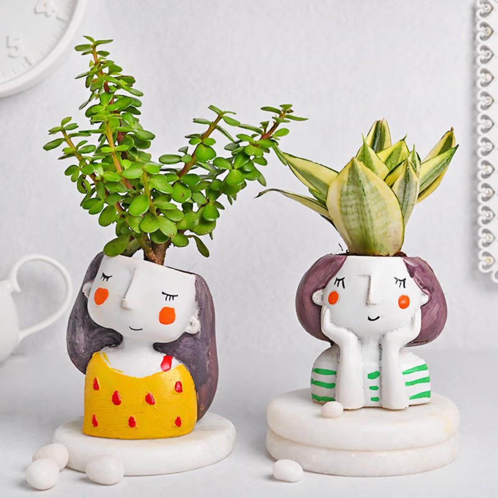 FlowerAura Fancy Air Purifying Set of 2 Jade & Sanseveria Live Indoor Plants In Sisters Resin Pot For Home/Office Decor And Gift For Birthday, Anniversary, Womens Day, Mothers Day, Diwali & Holi (B0CXHRRK6K) Amazon Price History, Amazon Price Tracker