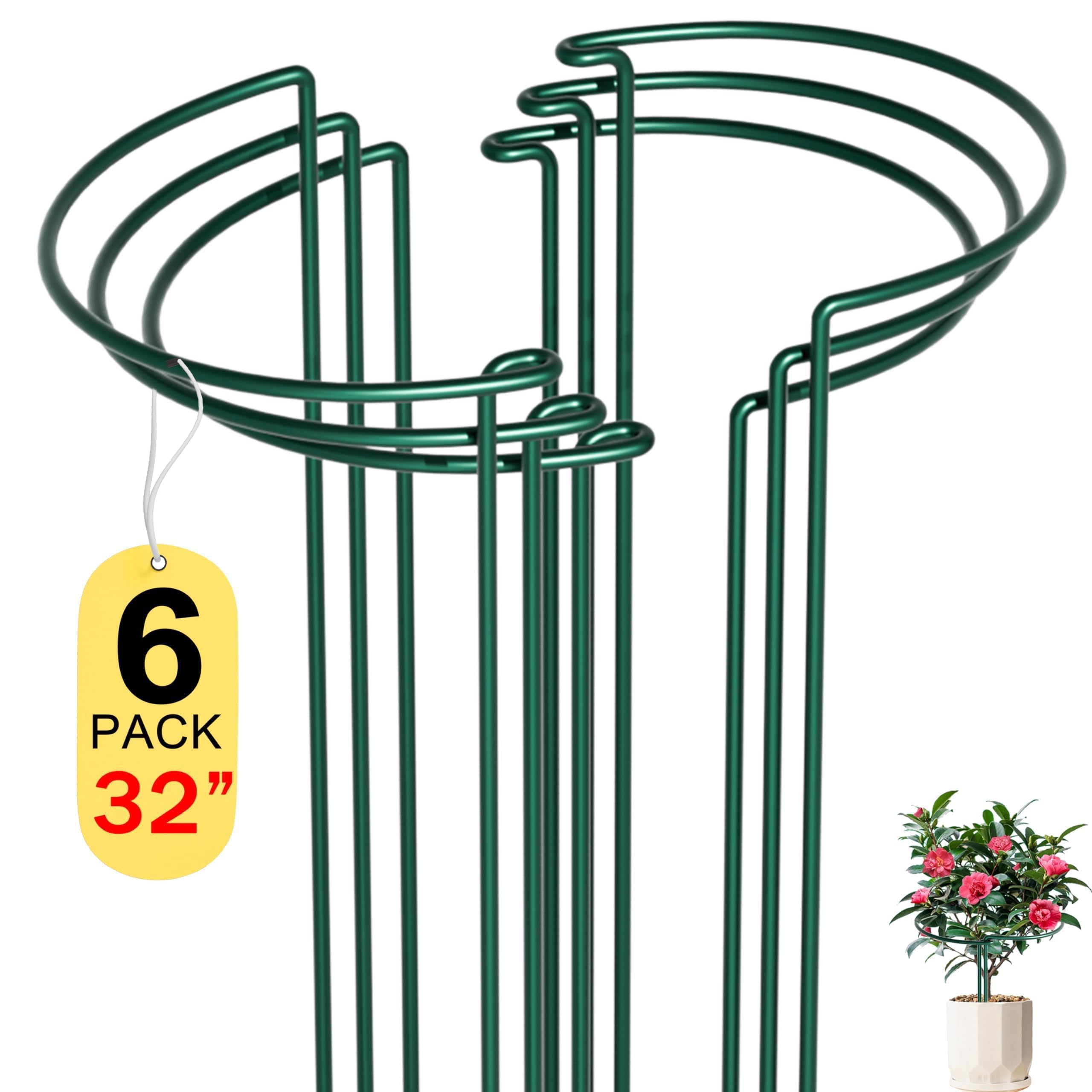 Garten Pflanzenstützen Staudenhalter60 fu x430