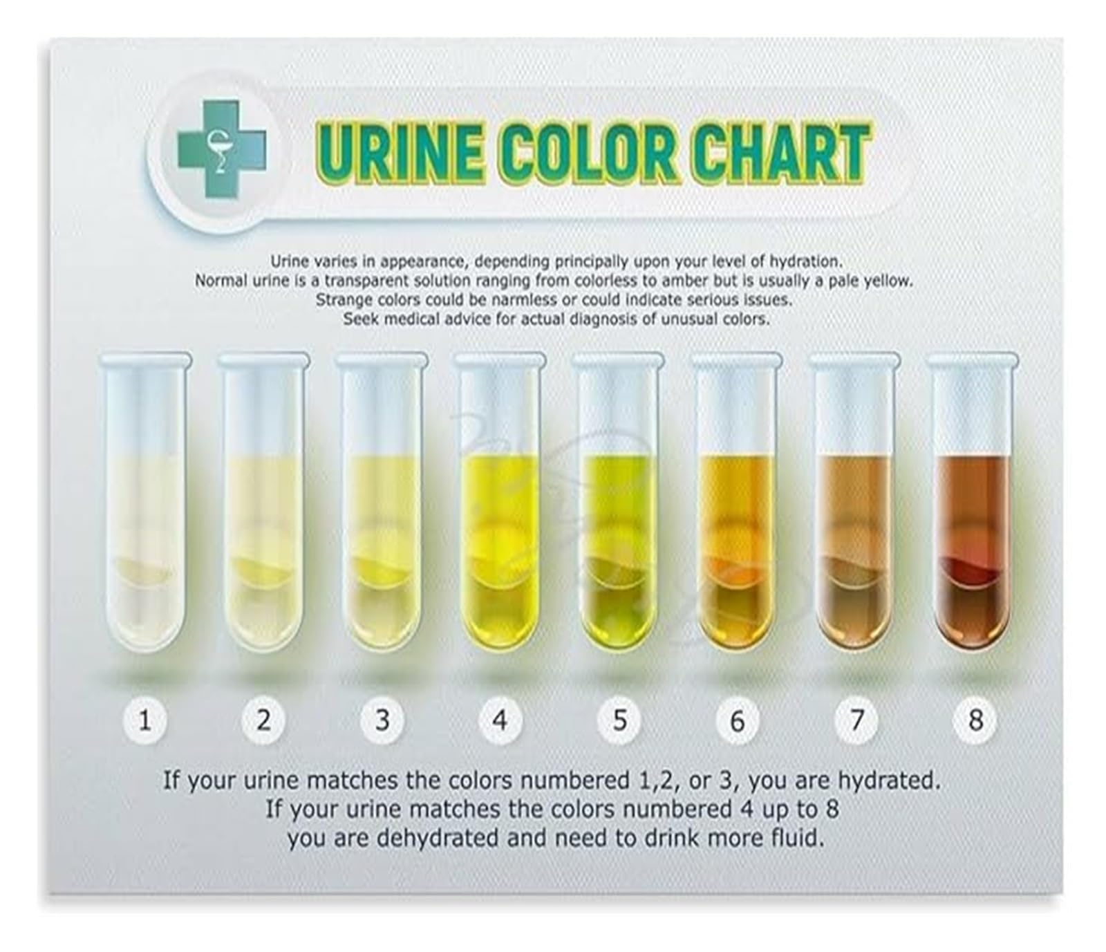 KCDFDVJFBM Hydration Urine Color Chart Poster Daily Water Intake Reminder Canvas Wall-Art for Kitchen Decor