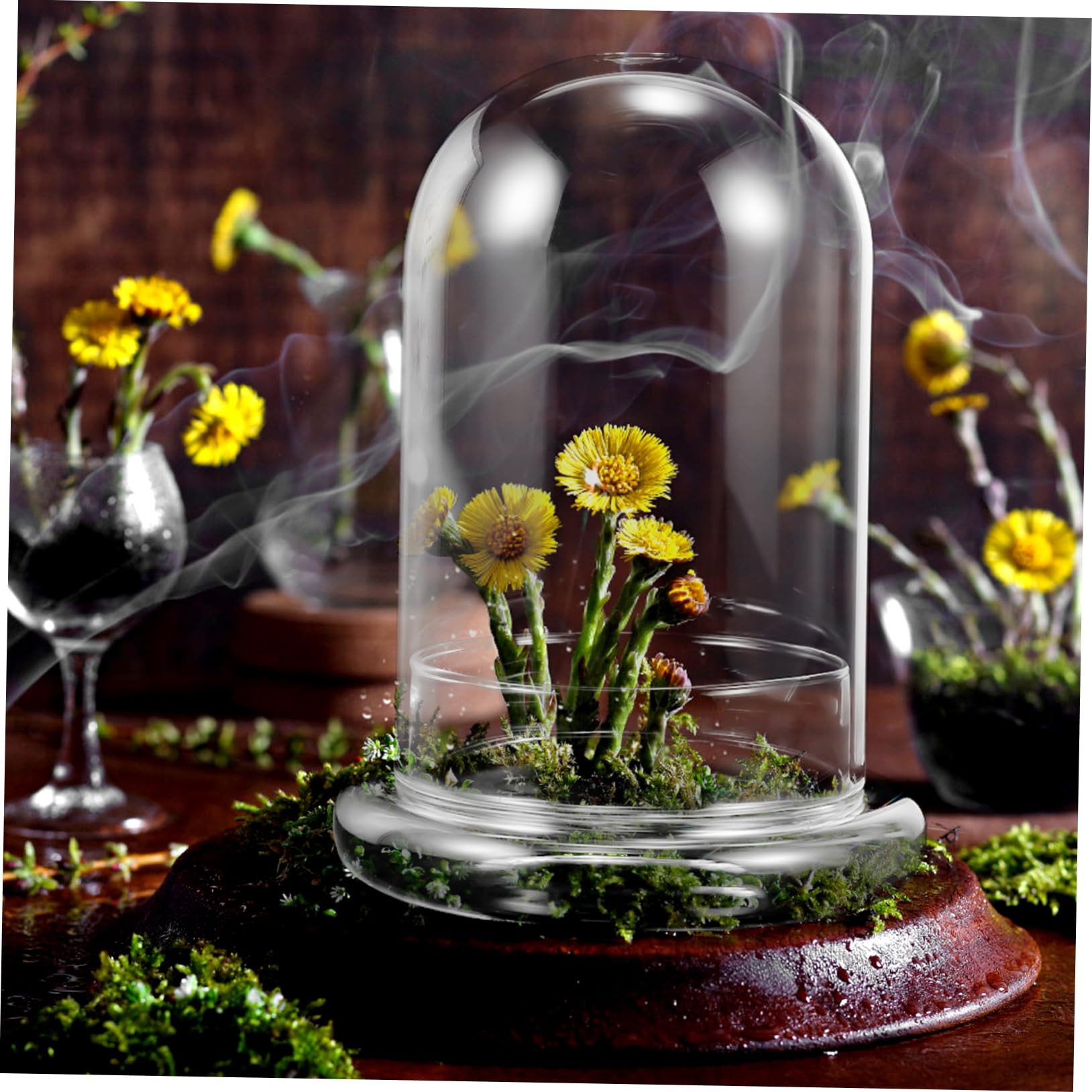 Amazon.co.jp: BESTOYARD 透明ガラスドーム クロッシュベルジャー Amazon.co.jp: BESTOYARD 透明ガラスドーム クロッシュベルジャー