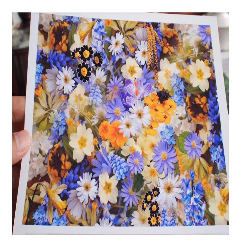 Carta Fotografica A4 180gr | Confronta Prezzi - Foto 5