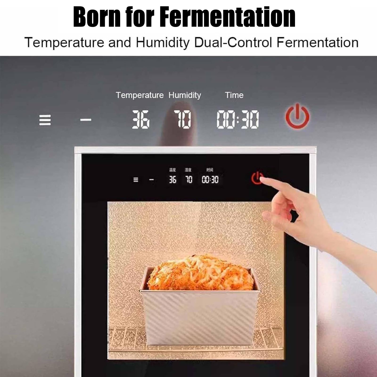 Elektrischer Brotgärer, 40 l, mit Temperaturkontrolle, kommerzielle Teiggärung 20–50 ℃, beheizter Aufsatz-Proofer für Sauerteig und Joghurt