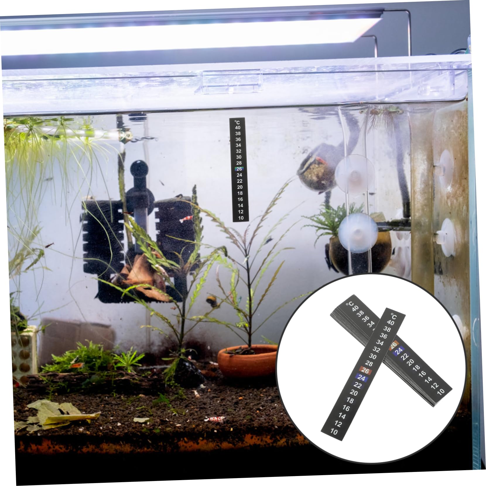 FOMIYES Lot De 10 Bandes De Mesure De Température Pour Aquarium Thermomètre Numérique Autocollant 18-34 °c Facile À Lire 15 Pièces X 10