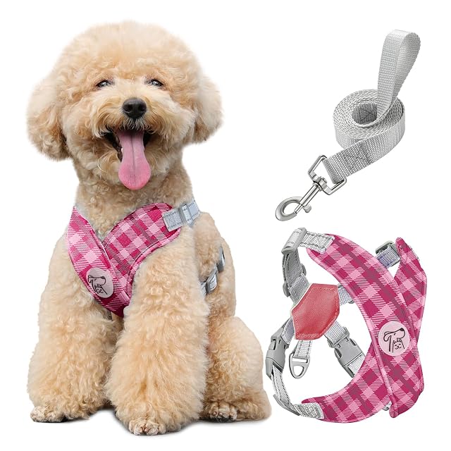 Pawaboo Conjunto de arnés y Correa Ajustable para Perros pequeños