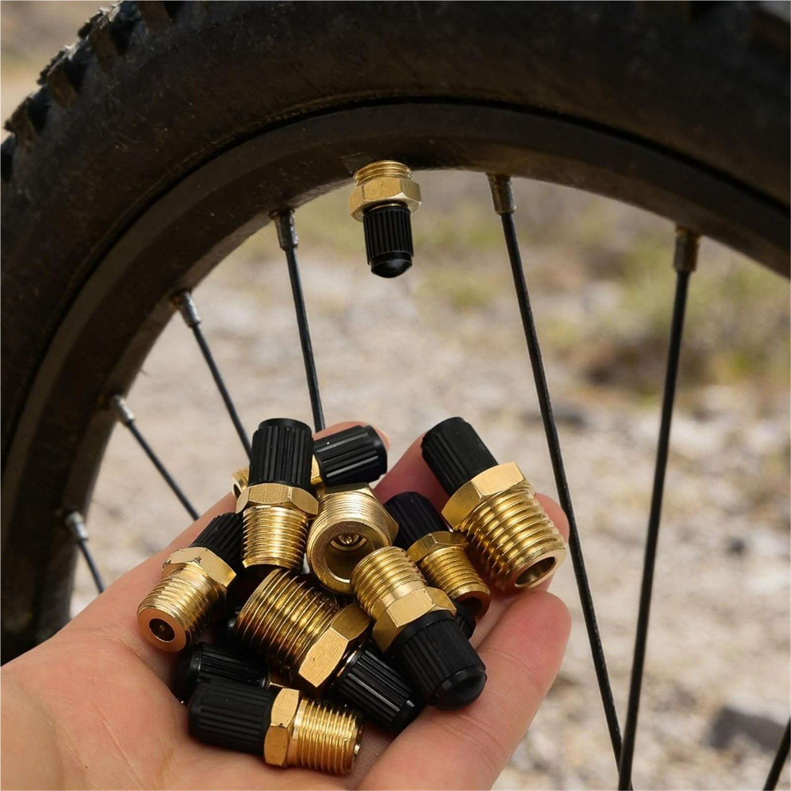 Ventilkappen Universal Messing Reifen Ventilschaft 1/4 NPT 1/8 M10*1 Auto Motorrad Tubeless Ventilkern(8-Point NPT,5pcs)