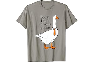 Today I'm a Serious Goose - The Best Goose T-Shirt