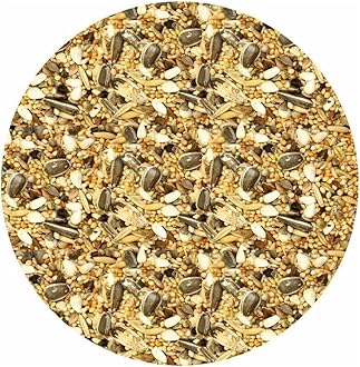 Cockatiel Food 10kg 5kg 3kg 2kg 1.5kg 1kg 450g Parakeet Lovebird Mix Seed Food Feed (1.5kg)