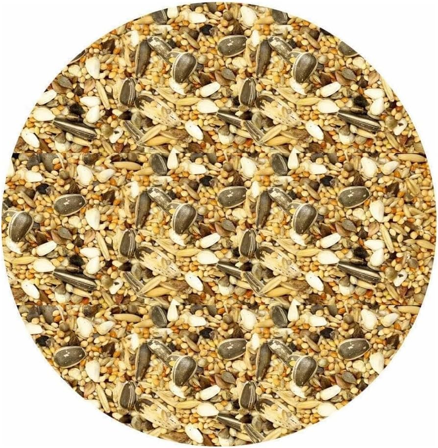 Cockatiel Food 10kg 5kg 3kg 2kg 1.5kg 1kg 450g Parakeet Lovebird Mix Seed Food Feed (1.5kg)