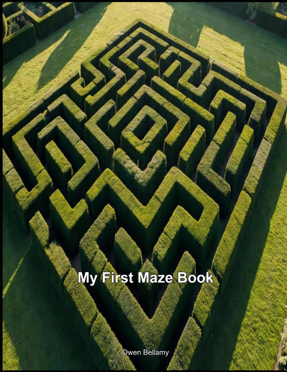 My First Maze Book: Easy Puzzles to Build Problem-Solving Skills