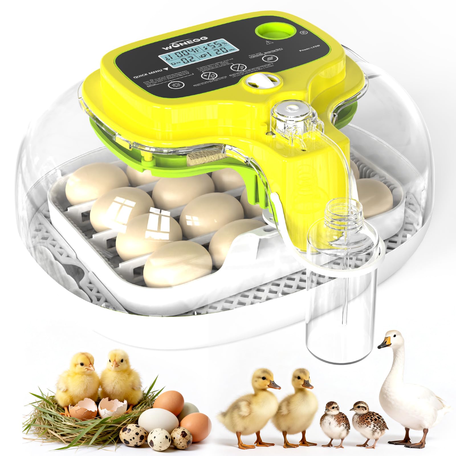 55% Off DIGOAKO 16-Egg Incubator with Auto Water & Turner - Image 1