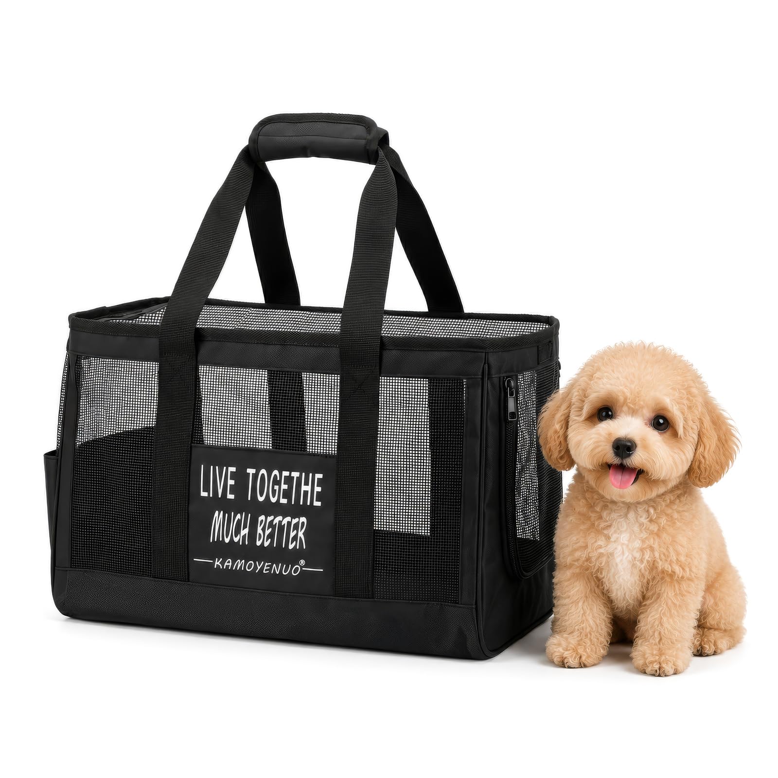 FERNVALE Pet Car Seat for Small Dogs, Elevated Booster Seat with Adjustable Safety Tether, Washable Nested Travel Bed, Portable Carrier for Car, Truck, SUV, and Airplane (Black)