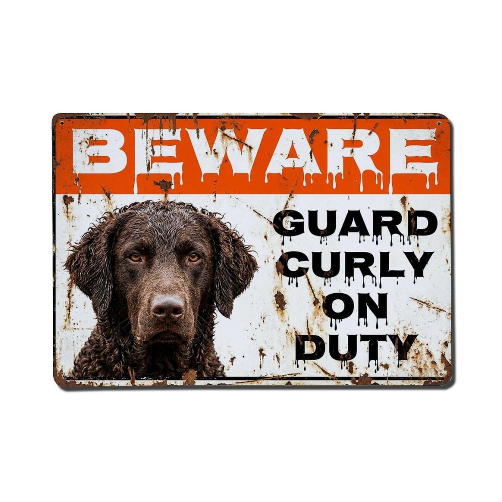 Vintage Funny Curly Retriever Guard Beware of Dog Yard Metal Tin Sign Plaque Wall Decor for Cafe, Club Bar, Office, Garden Metal Poster 8x12Inch