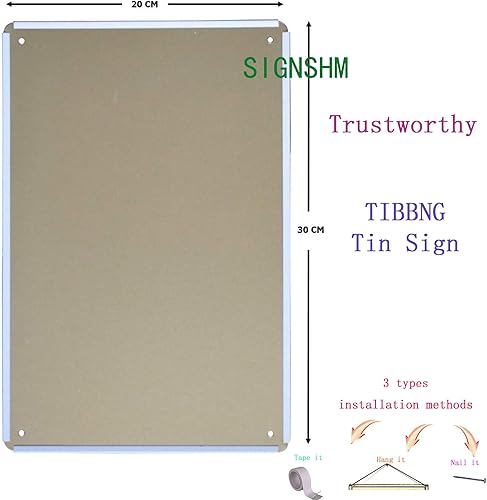 Miniatura 2 de Bit SIGNSHM Norwegian House Rules - Póster de metal retro para decoración de pared, arte shabby chic, regalo adecuado para 12 x 8 pulgadas