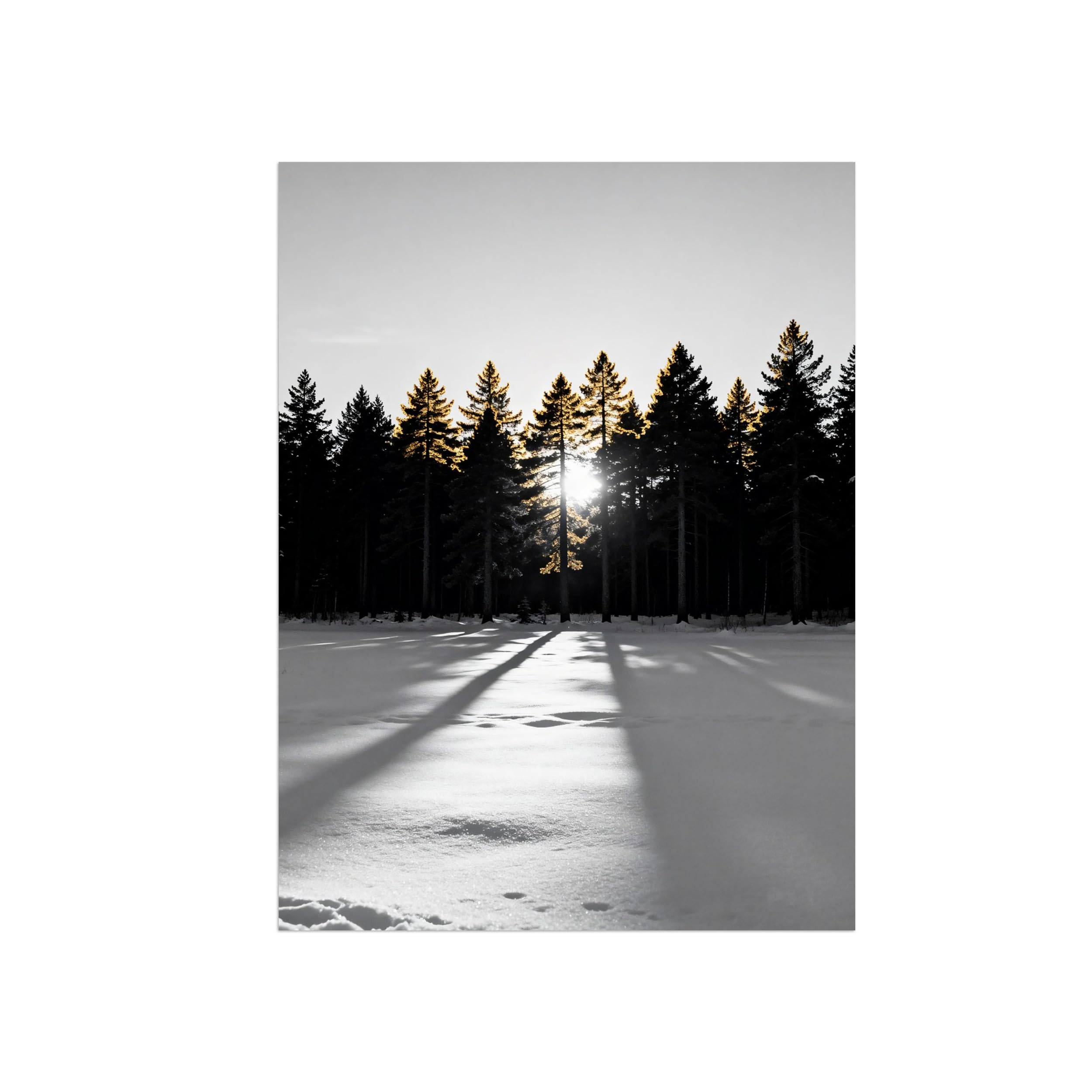 Black White Landscape Wall Art. Winter Forest Tree. Picture 70x90cm Framed